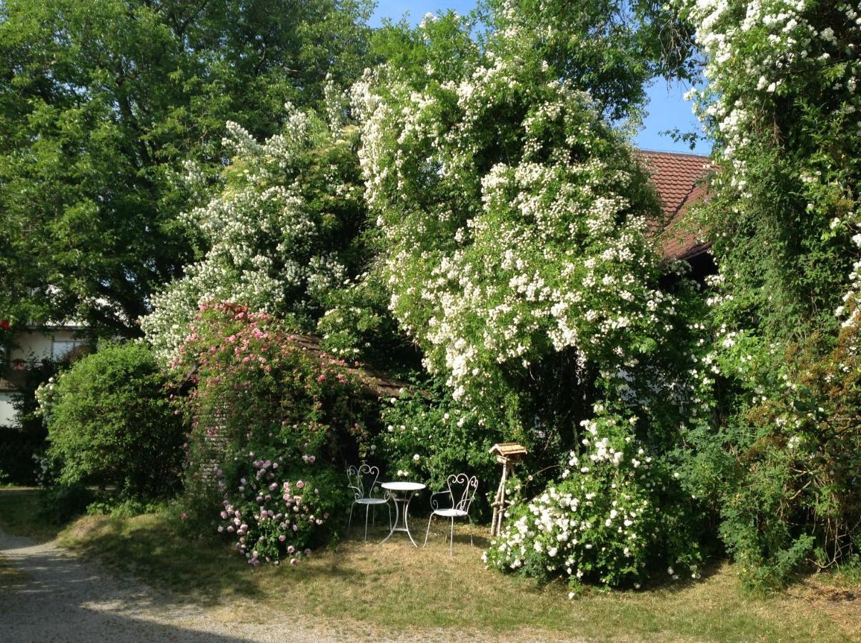 Landloft Haus Probst Διαμέρισμα Schondorf am Ammersee Εξωτερικό φωτογραφία